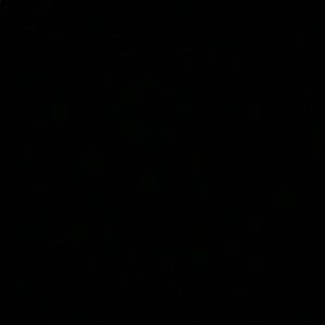 Meet your Posher, Henok